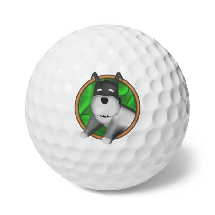 Buckley Golf Balls, 6pcs